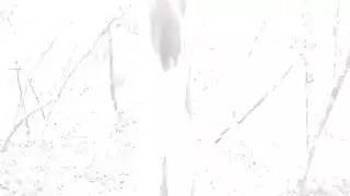 عبودية مثليه نظارات ايمو