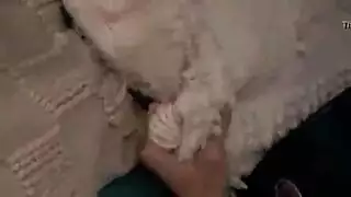 يقلبها ويلحس كسها